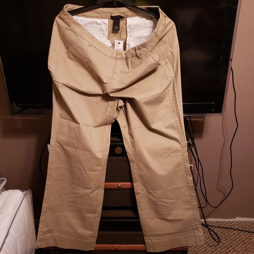 Lane Bryant Chinos